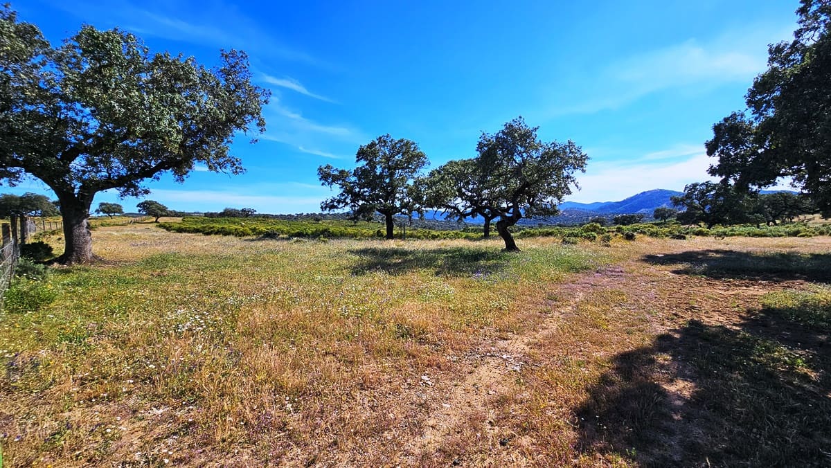 5 soveværelse Finca/Landehus til salg i Zufre - € 2.300.000 (Ref: 8386153)