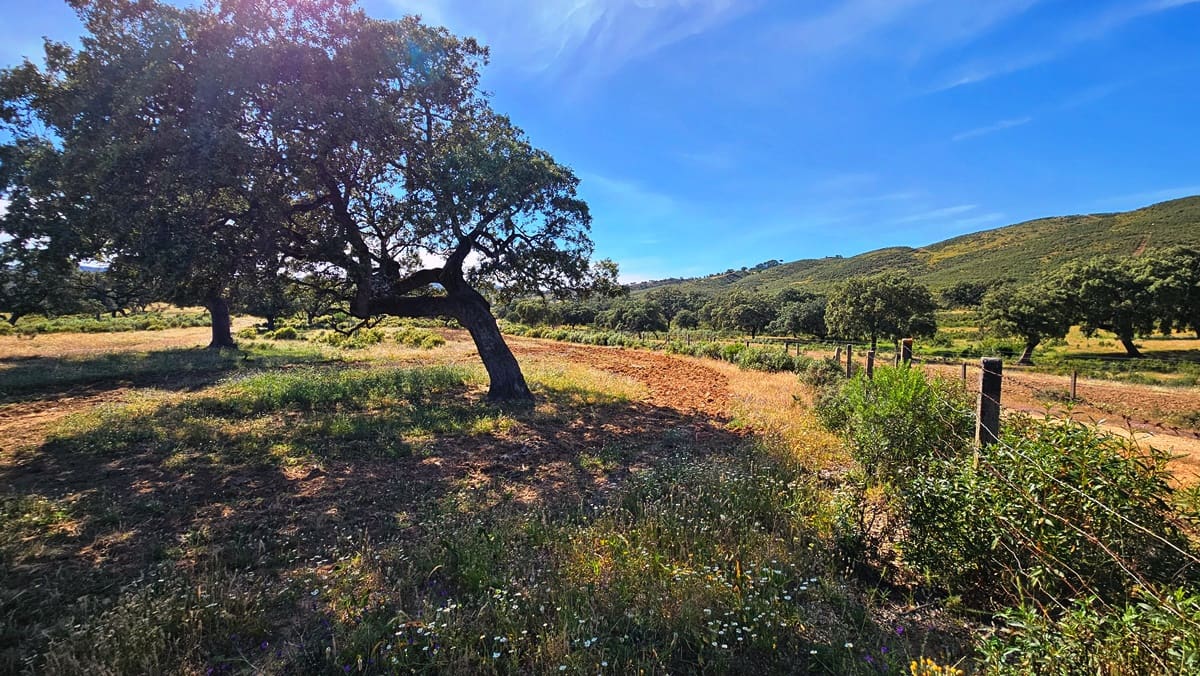 5 soveværelse Finca/Landehus til salg i Zufre - € 2.300.000 (Ref: 8386153)