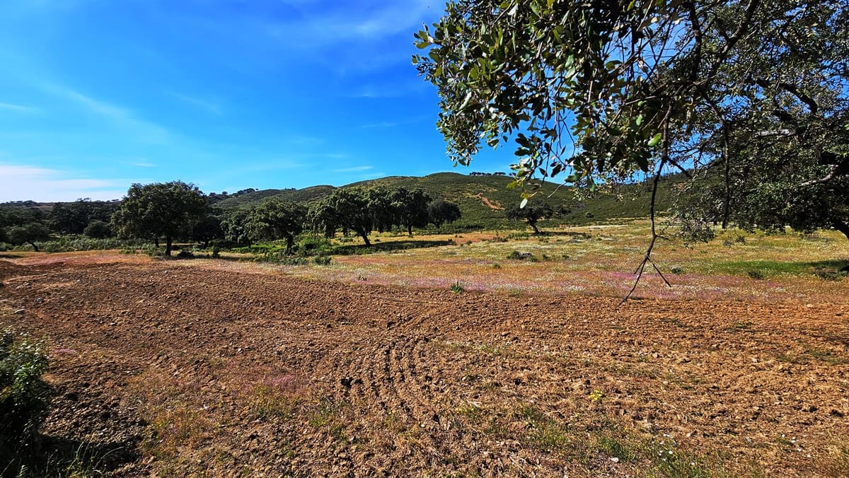 5 soveværelse Finca/Landehus til salg i Zufre - € 2.300.000 (Ref: 8386153)