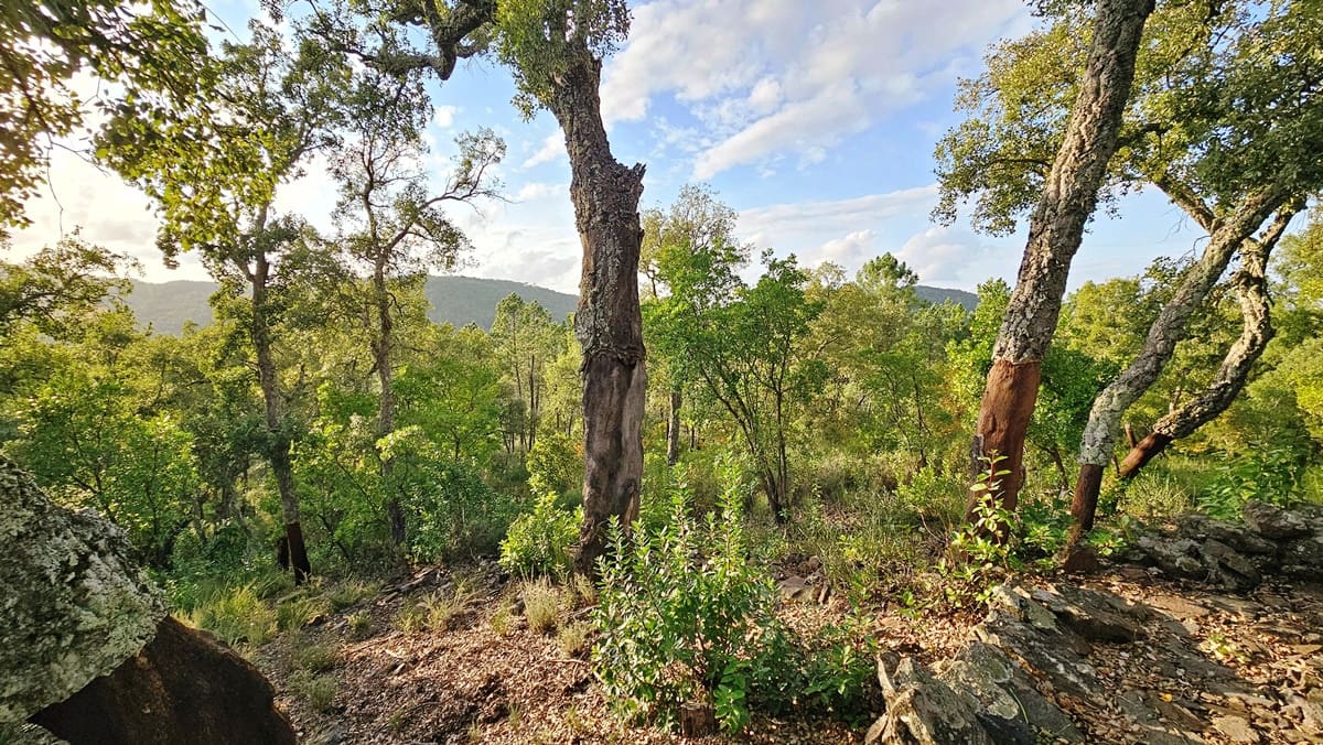 2 soveværelse Finca/Landehus til salg i Castano del Robledo med swimmingpool - € 255.000 (Ref: 8632953)