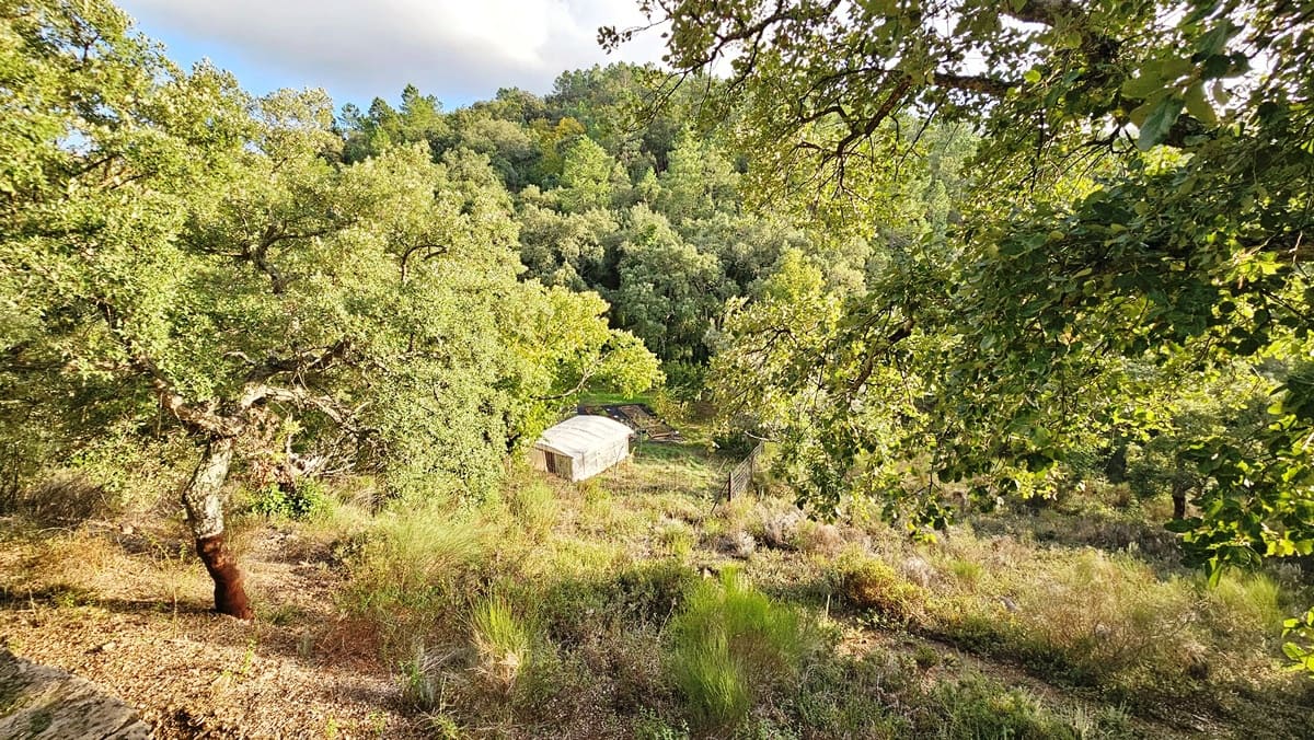 2 soveværelse Finca/Landehus til salg i Castano del Robledo med swimmingpool - € 255.000 (Ref: 8632953)