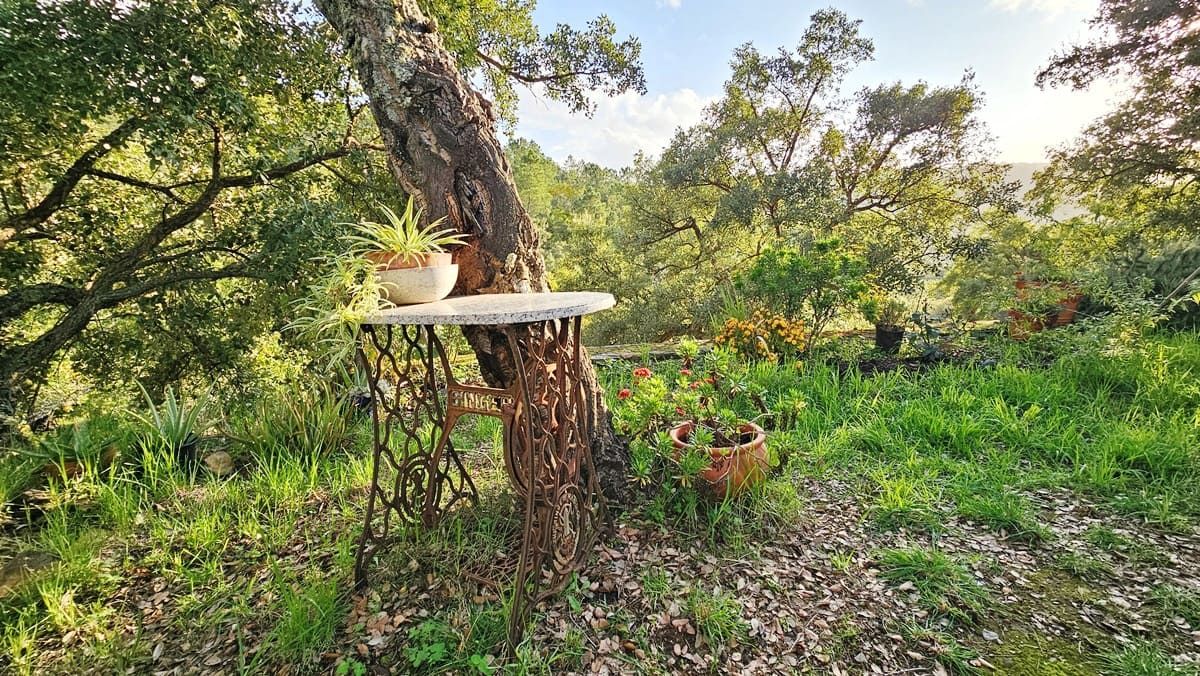 2 soveværelse Finca/Landehus til salg i Castano del Robledo med swimmingpool - € 255.000 (Ref: 8632953)