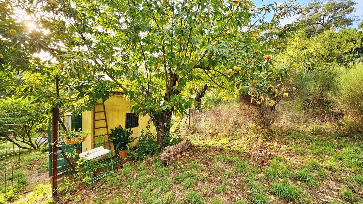 2 soveværelse Finca/Landehus til salg i Castano del Robledo med swimmingpool - € 255.000 (Ref: 8632953)