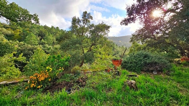 2 bedroom Finca/Country House for sale in Castaño del Robledo with pool - € 255,000 (Ref: 8632953)