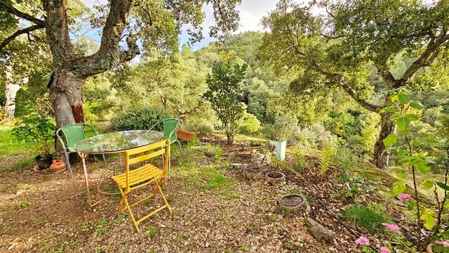 2 bedroom Finca/Country House for sale in Castaño del Robledo with pool - € 255,000 (Ref: 8632953)