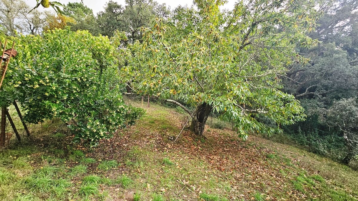 2 soveværelse Finca/Landehus til salg i Castano del Robledo med swimmingpool - € 255.000 (Ref: 8632953)