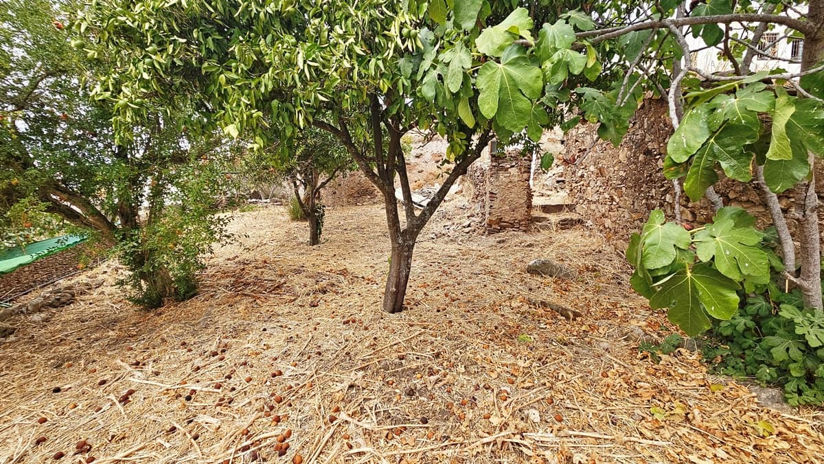 4 soveværelse Byhus til salg i Hinojales - € 189.000 (Ref: 8661384)