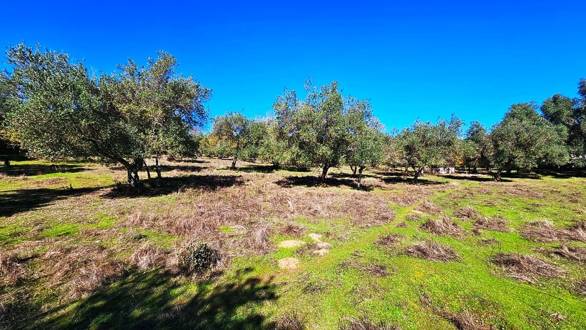 4 soveværelse Finca/Landehus til salg i Aracena - € 350.000 (Ref: 8769194)