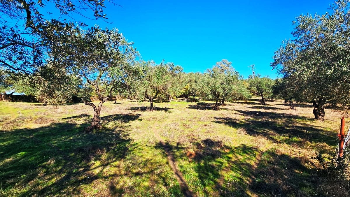4 soveværelse Finca/Landehus til salg i Aracena - € 350.000 (Ref: 8769194)
