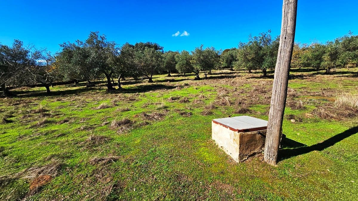 4 soveværelse Finca/Landehus til salg i Aracena - € 350.000 (Ref: 8769194)