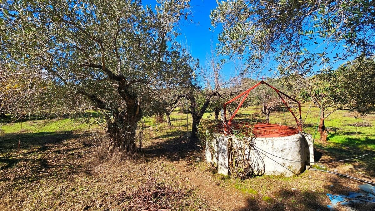 4 soveværelse Finca/Landehus til salg i Aracena - € 350.000 (Ref: 8769194)