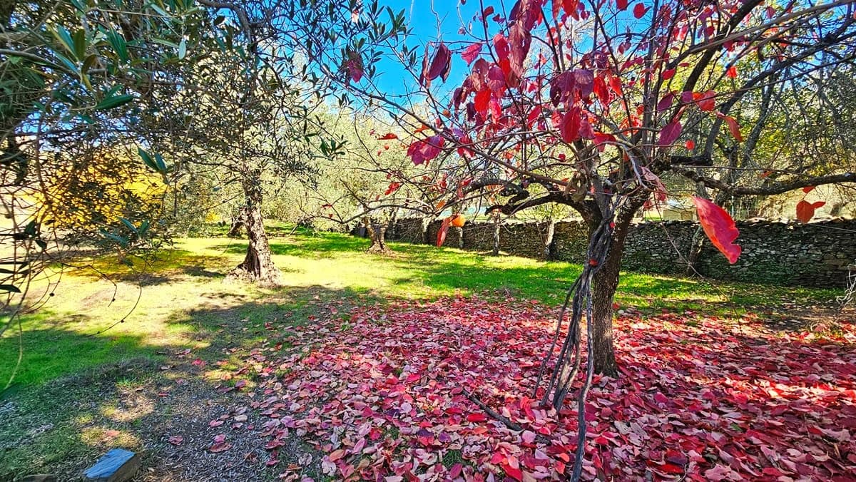 4 soveværelse Finca/Landehus til salg i Aracena - € 350.000 (Ref: 8769194)