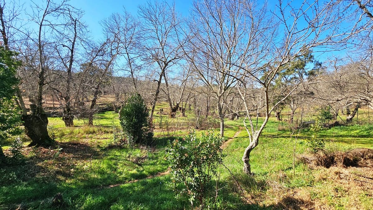 5 soveværelse Finca/Landehus til salg i Aracena med swimmingpool - € 390.000 (Ref: 8841994)