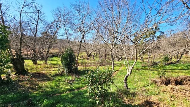 5 camera da letto Finca/Casa di Campagna in vendita in Aracena con piscina - 390.000 € (Rif: 8841994)