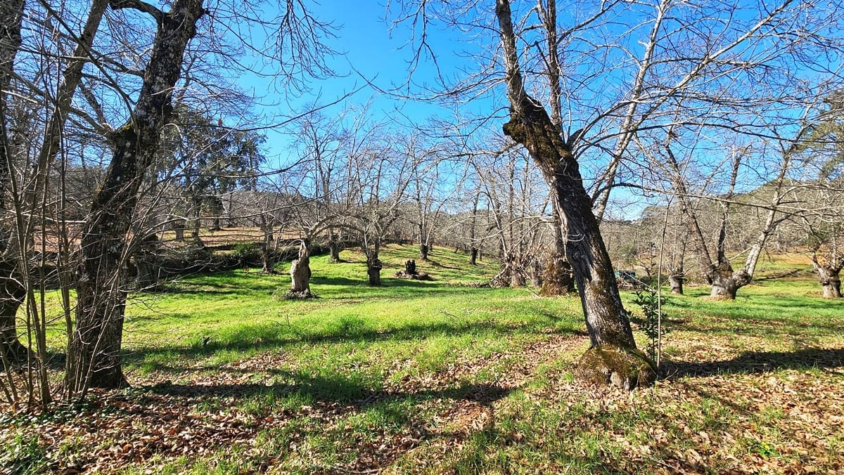 5 soveværelse Finca/Landehus til salg i Aracena med swimmingpool - € 390.000 (Ref: 8841994)