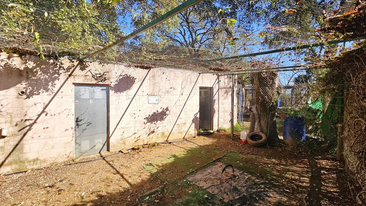 5 soveværelse Finca/Landehus til salg i Aracena med swimmingpool - € 390.000 (Ref: 8841994)