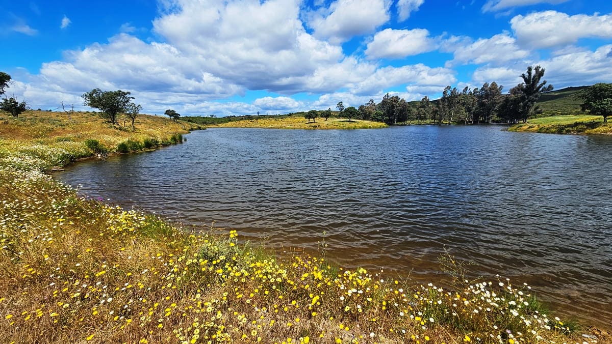 3 soveværelse Finca/Landehus til salg i Almonaster la Real - € 1.100.000 (Ref: 9025713)