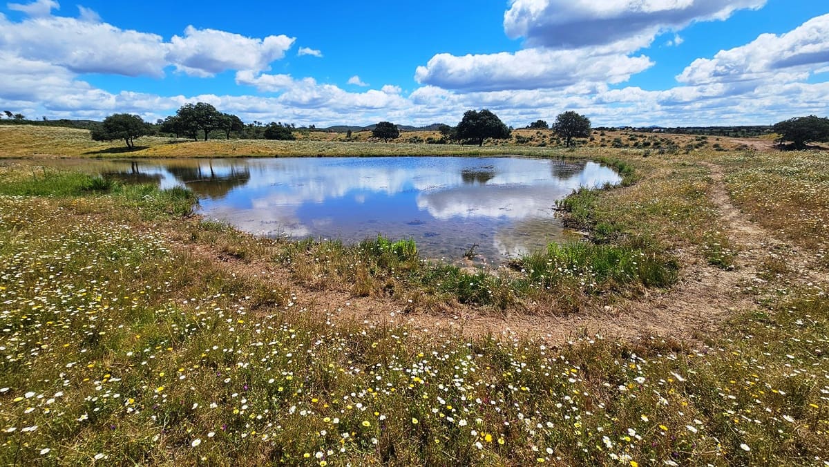 3 soveværelse Finca/Landehus til salg i Almonaster la Real - € 1.100.000 (Ref: 9025713)