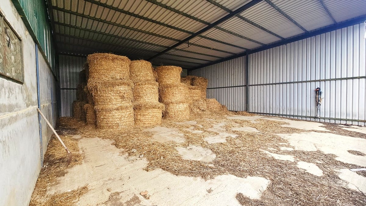 3 soveværelse Finca/Landehus til salg i Almonaster la Real - € 1.100.000 (Ref: 9025713)