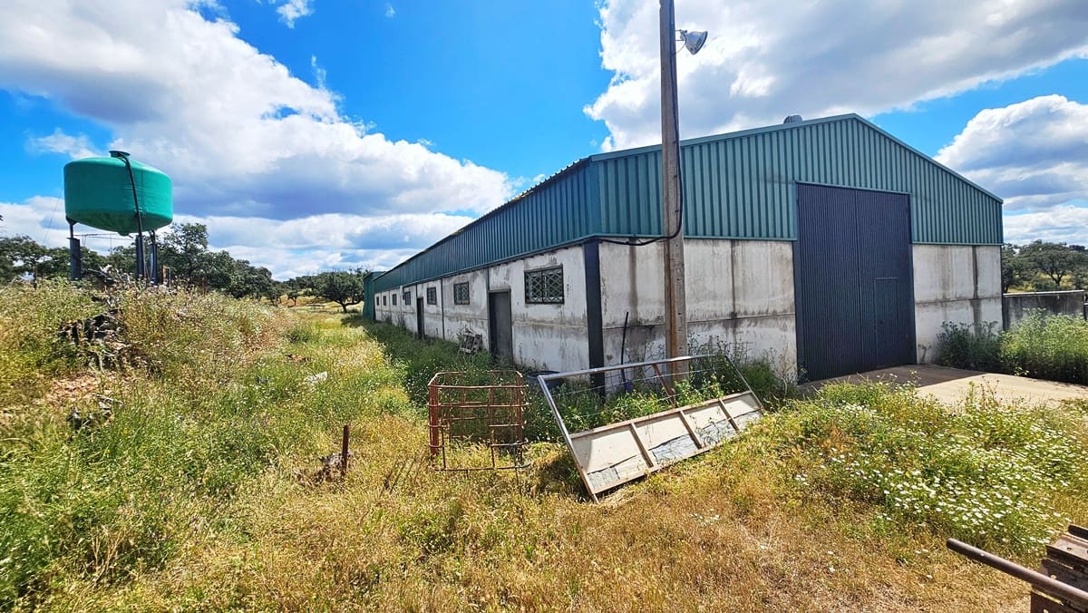 3 soveværelse Finca/Landehus til salg i Almonaster la Real - € 1.100.000 (Ref: 9025713)