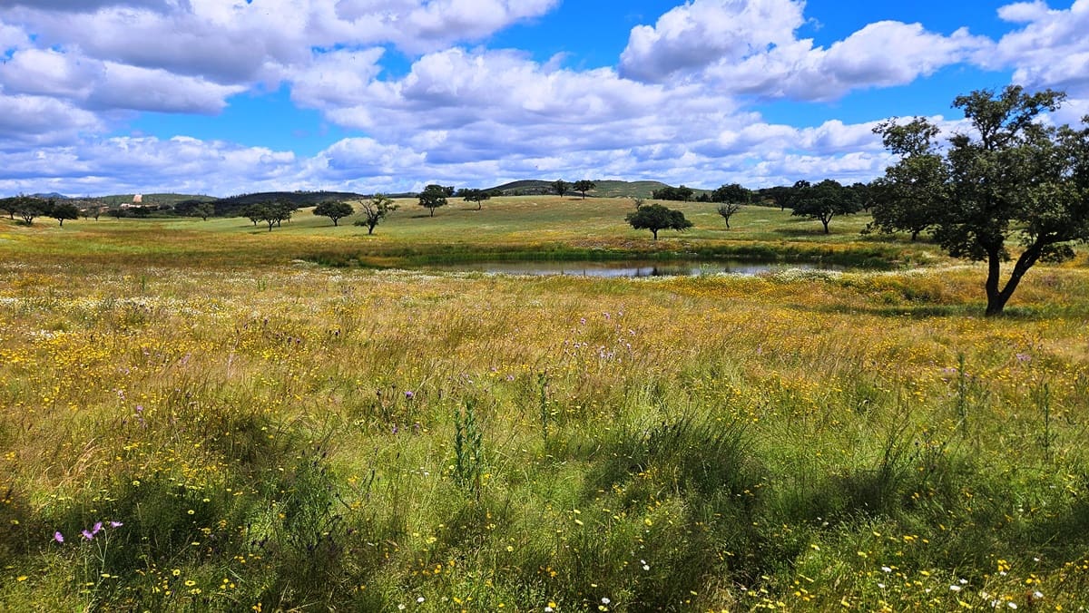 3 soveværelse Finca/Landehus til salg i Almonaster la Real - € 1.100.000 (Ref: 9025713)