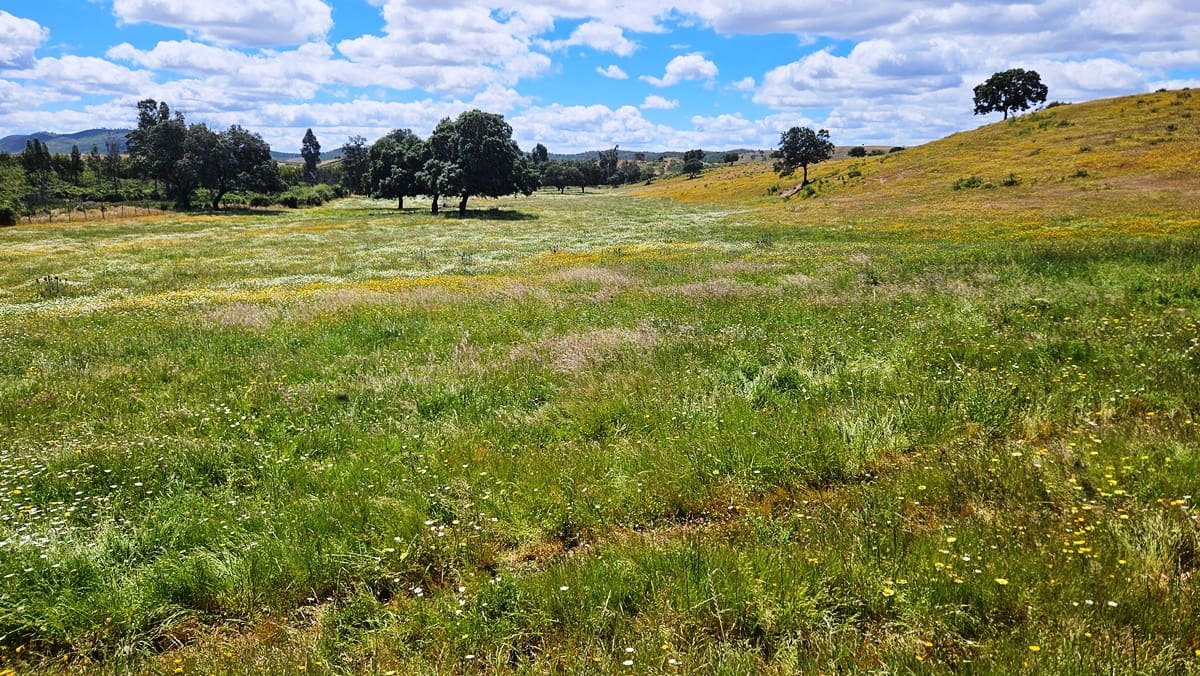 3 soveværelse Finca/Landehus til salg i Almonaster la Real - € 1.100.000 (Ref: 9025713)