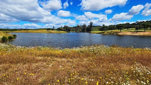 3 soveværelse Finca/Landehus til salg i Almonaster la Real - € 1.100.000 (Ref: 9025713)