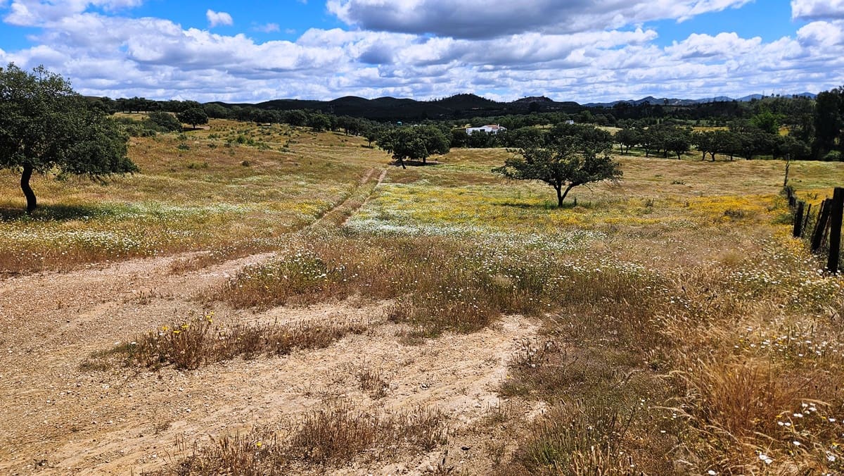 3 soveværelse Finca/Landehus til salg i Almonaster la Real - € 1.100.000 (Ref: 9025713)