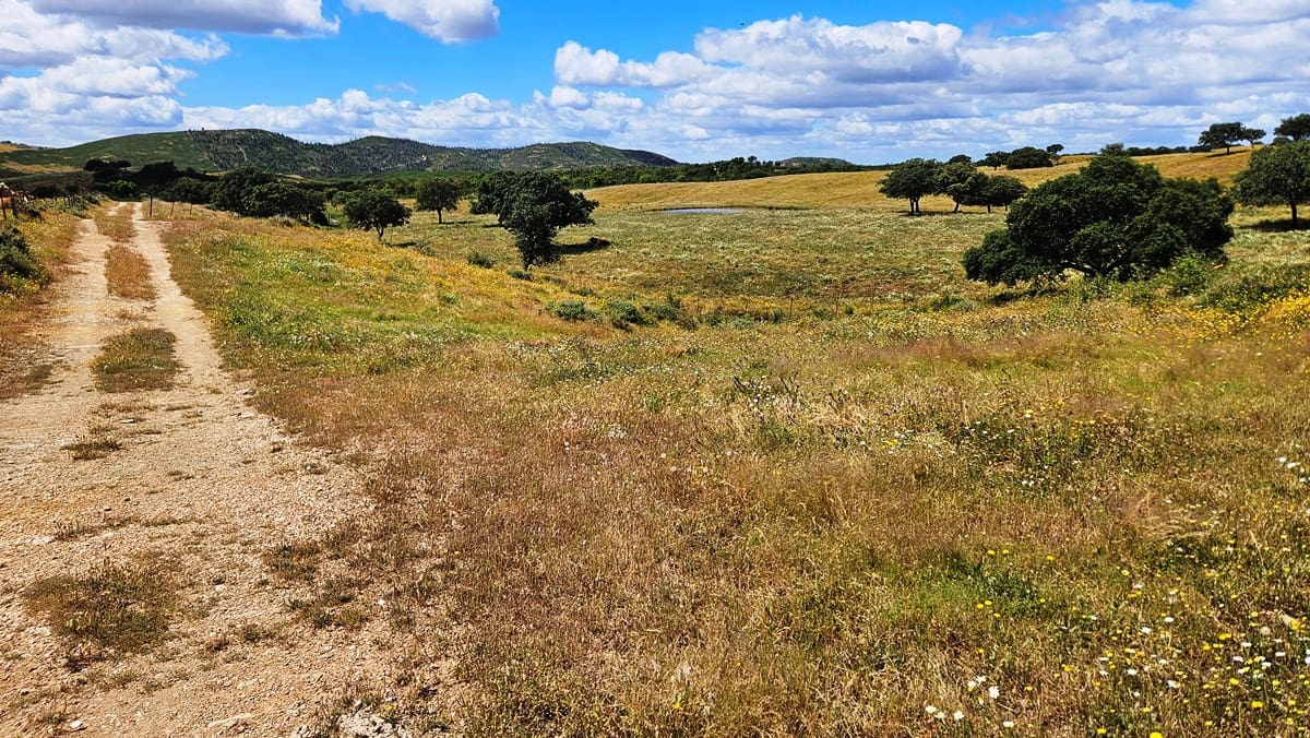 3 soveværelse Finca/Landehus til salg i Almonaster la Real - € 1.100.000 (Ref: 9025713)