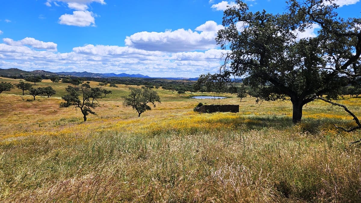 3 soveværelse Finca/Landehus til salg i Almonaster la Real - € 1.100.000 (Ref: 9025713)