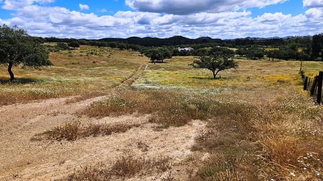 3 soveværelse Finca/Landehus til salg i Almonaster la Real - € 1.100.000 (Ref: 9025713)