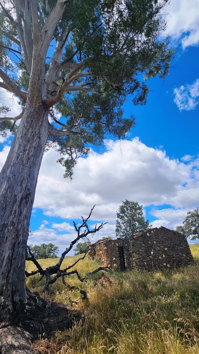 3 soveværelse Finca/Landehus til salg i Almonaster la Real - € 1.100.000 (Ref: 9025713)