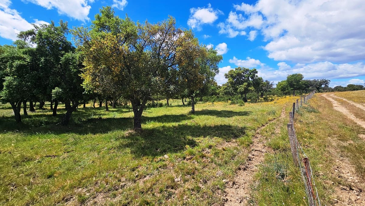 3 soveværelse Finca/Landehus til salg i Almonaster la Real - € 1.100.000 (Ref: 9025713)