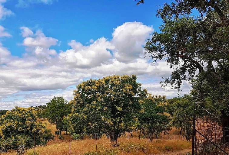 4 soveværelse Finca/Landehus til salg i Cortegana med swimmingpool garage - € 520.000 (Ref: 9037472)