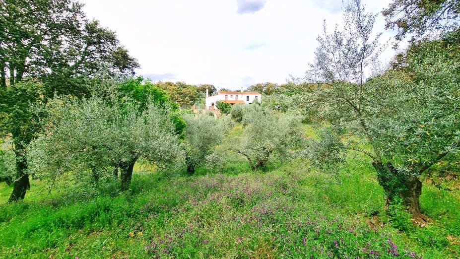 4 soveværelse Finca/Landehus til salg i Cortegana med swimmingpool garage - € 520.000 (Ref: 9037472)