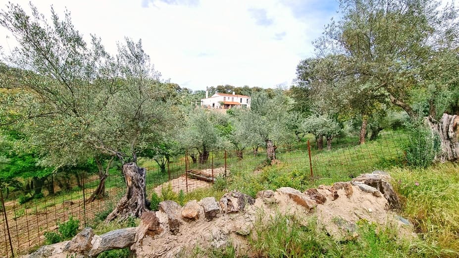 4 soveværelse Finca/Landehus til salg i Cortegana med swimmingpool garage - € 520.000 (Ref: 9037472)