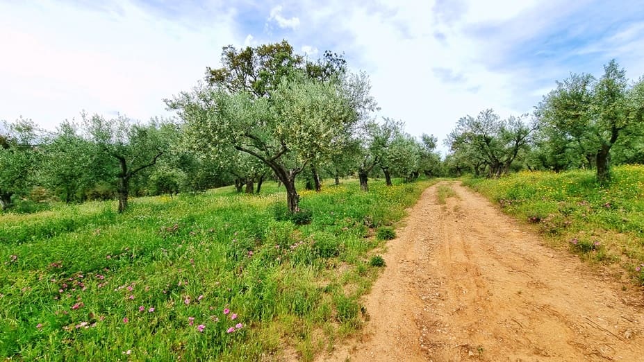 4 soveværelse Finca/Landehus til salg i Cortegana med swimmingpool garage - € 520.000 (Ref: 9037472)