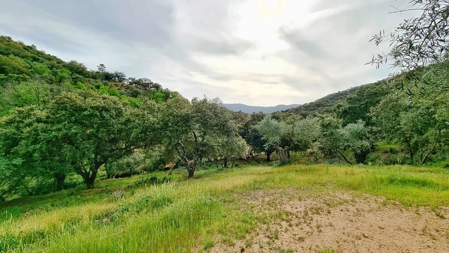 4 soveværelse Finca/Landehus til salg i Cortegana med swimmingpool garage - € 520.000 (Ref: 9037472)