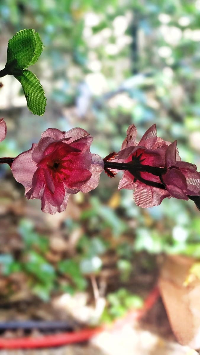 6 soveværelse Finca/Landehus til salg i Los Marines med swimmingpool - € 540.000 (Ref: 9105509)