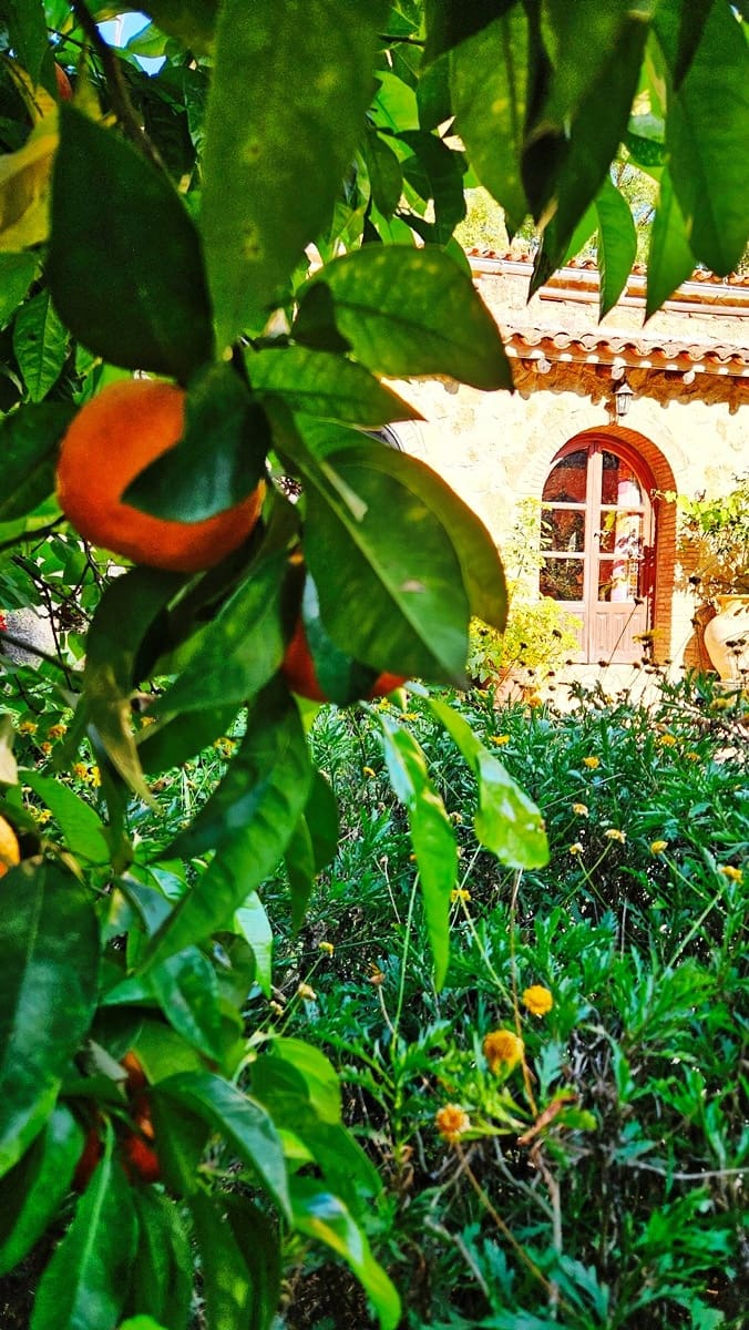 6 soveværelse Finca/Landehus til salg i Los Marines med swimmingpool - € 540.000 (Ref: 9105509)