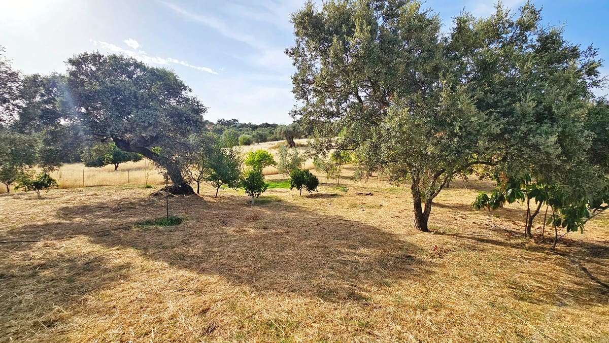 10 soverom Finca/Herregård til salgs i El Castillo de las Guardas med svømmebasseng - € 575 000 (Ref: 9131415)