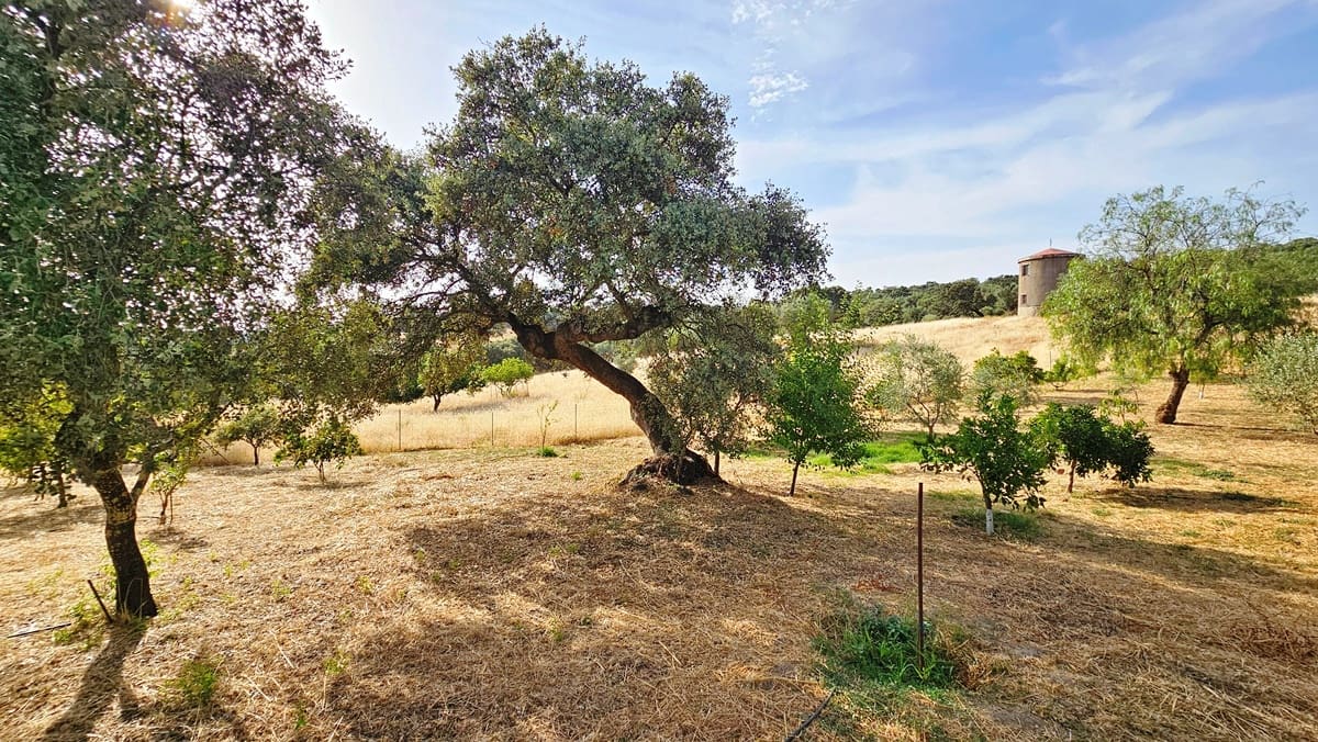 10 soverom Finca/Herregård til salgs i El Castillo de las Guardas med svømmebasseng - € 575 000 (Ref: 9131415)