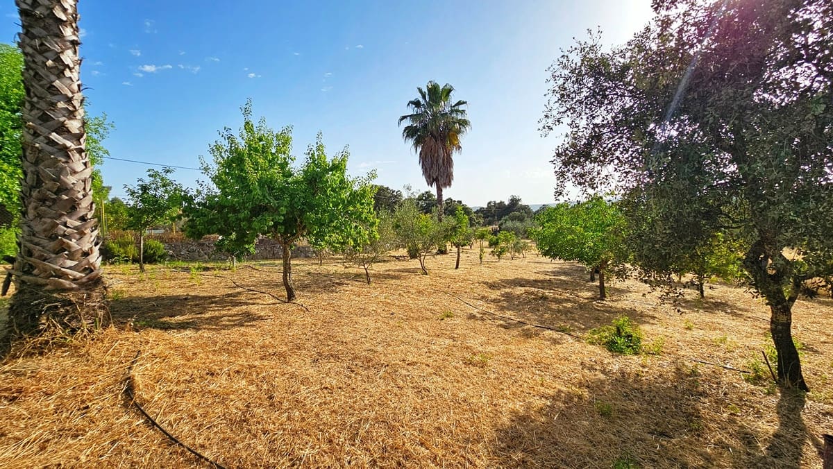 10 soverom Finca/Herregård til salgs i El Castillo de las Guardas med svømmebasseng - € 575 000 (Ref: 9131415)