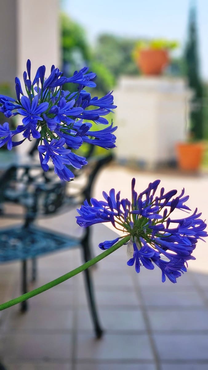 5 soverom Hus til salgs i Aracena med svømmebasseng garasje - € 890 000 (Ref: 9143361)