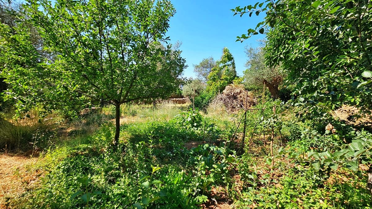 5 soverom Hus til salgs i Aracena med svømmebasseng garasje - € 890 000 (Ref: 9143361)