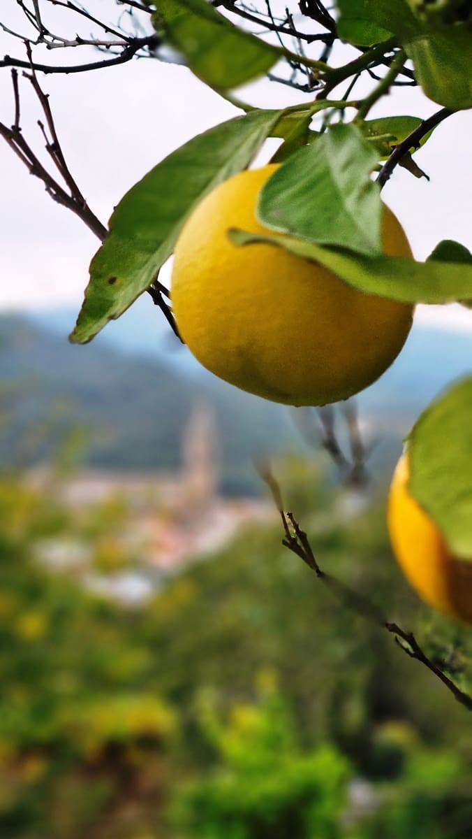 5 bedroom Finca/Country House for sale in Alajar - € 590,000 (Ref: 9471054)