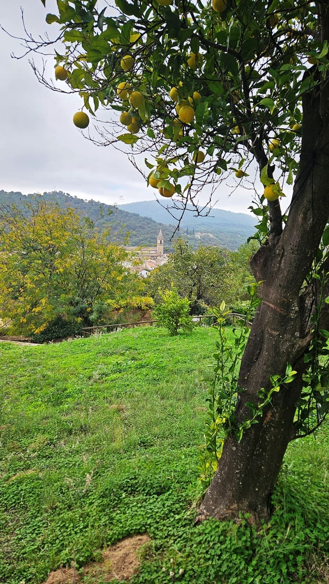 5 bedroom Finca/Country House for sale in Alajar - € 590,000 (Ref: 9471054)