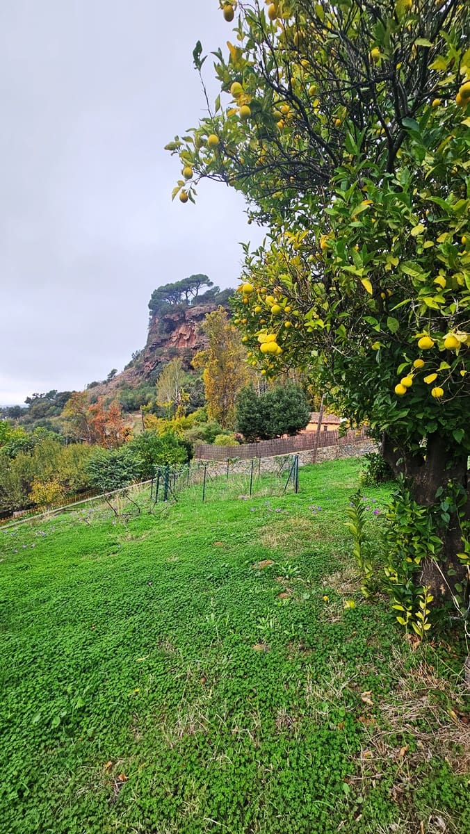 5 bedroom Finca/Country House for sale in Alajar - € 590,000 (Ref: 9471054)