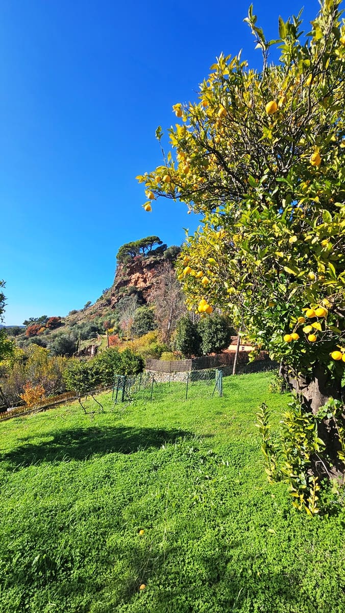 5 bedroom Finca/Country House for sale in Alajar - € 590,000 (Ref: 9471054)