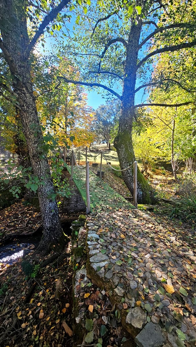 Finca/Casa Rural de 4 habitaciones en Cortelazor en venta con piscina - 398.000 € (Ref: 9471055)